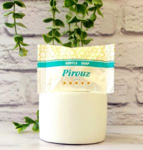 صابون هتلی پیروز